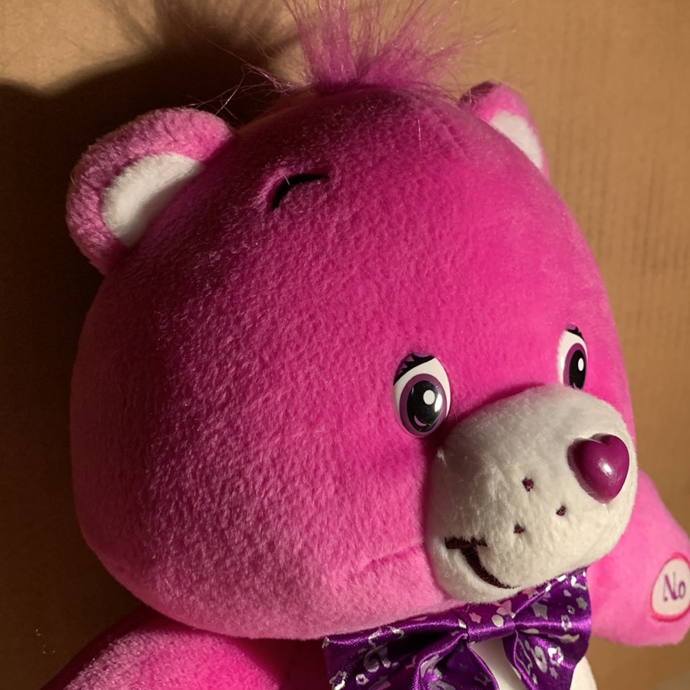 π Care Bears Surprise Yes No Bear Interactive 2004 *Not tested! Sold as is! - Picture 8 of 16